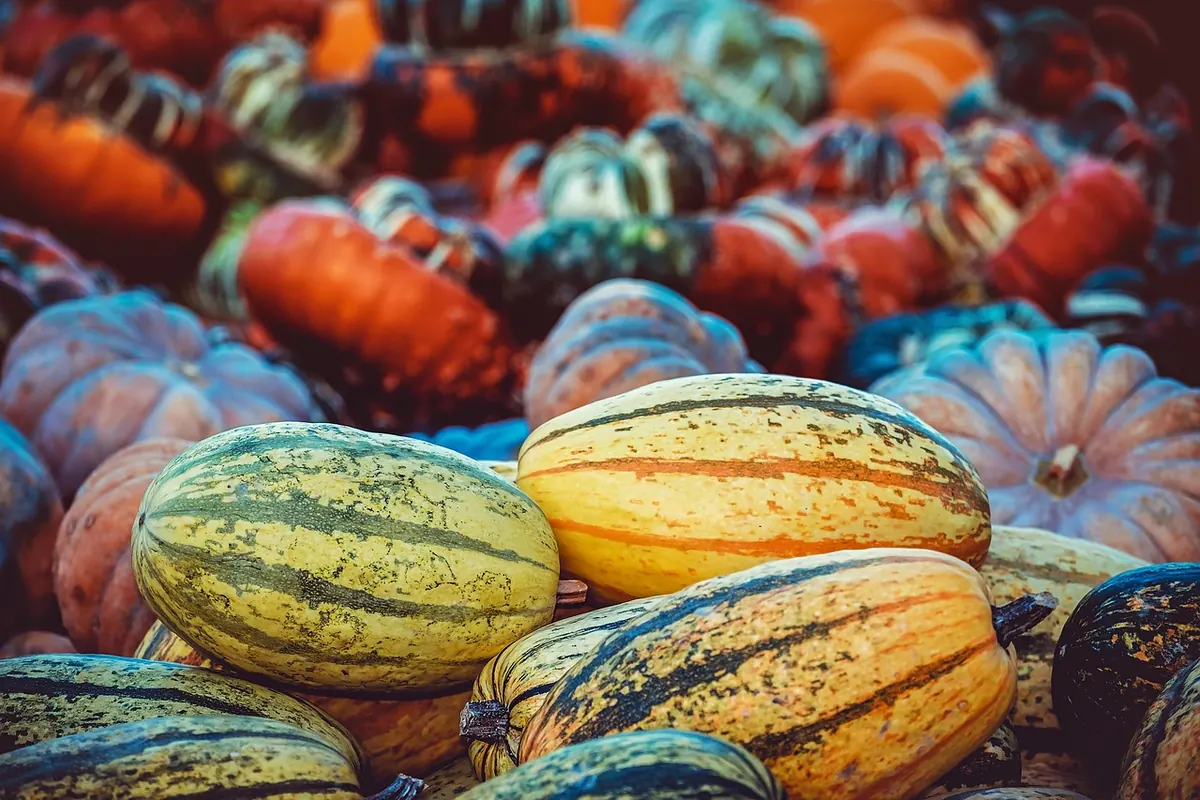 Fall Festival Planning Guide: How Beck Organizations Can Host a Seasonal Event